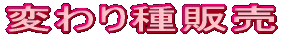 変わり種販売